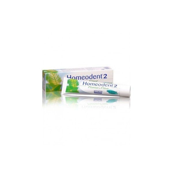 Homeodent 2 Pasta Dental Clorofila 75ml